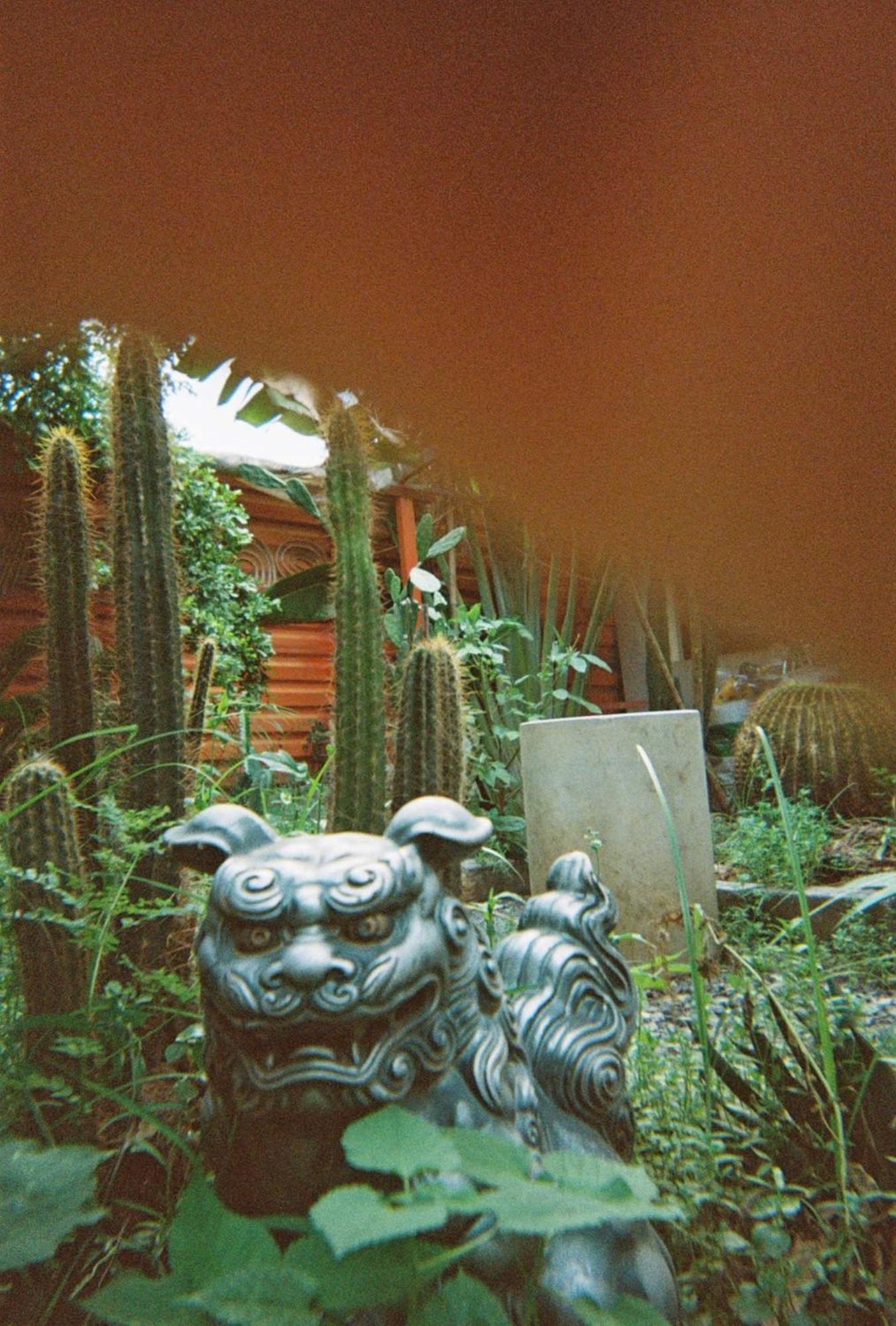 Cactos Bar & Ho Chi Minh City