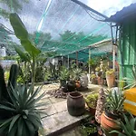 Cactos Chill & Homestay