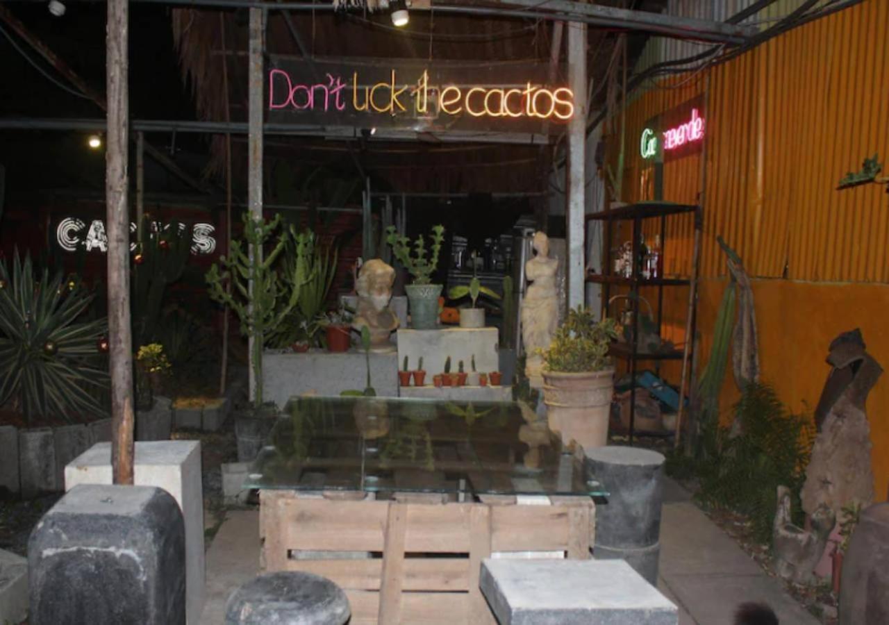 Couette-café Cactos Chill &